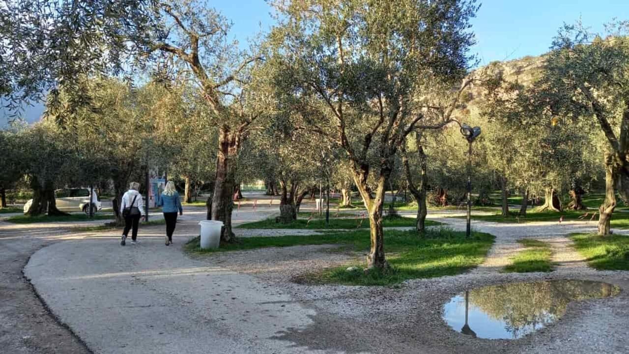 Casa Nataly Acomodação com café da manhã Torbole Sul Garda Exterior foto